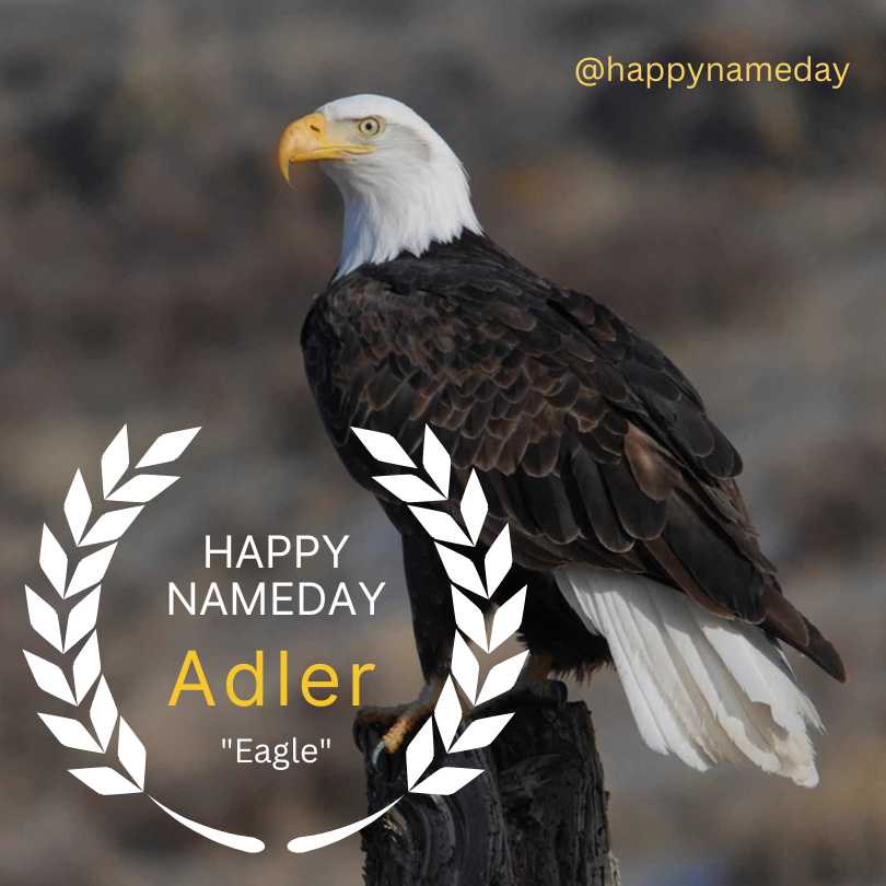 Adler