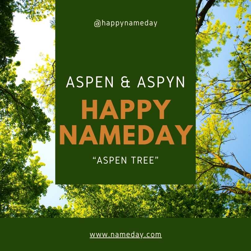 Aspen