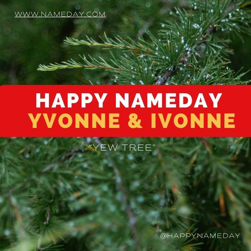 Ivonne