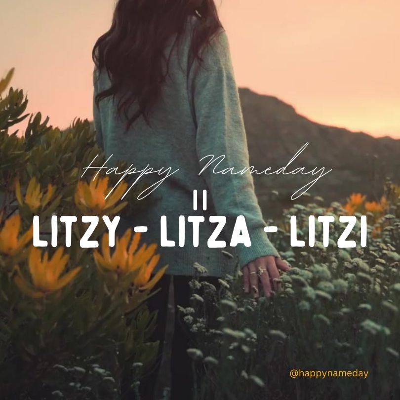 Litza