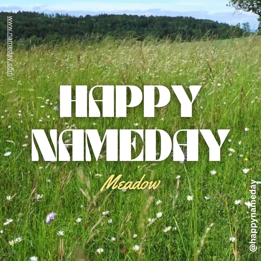 Meadow