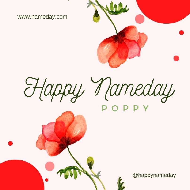 Poppy