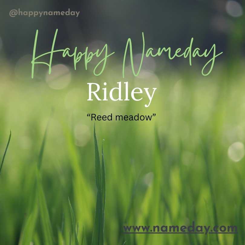 Ridley