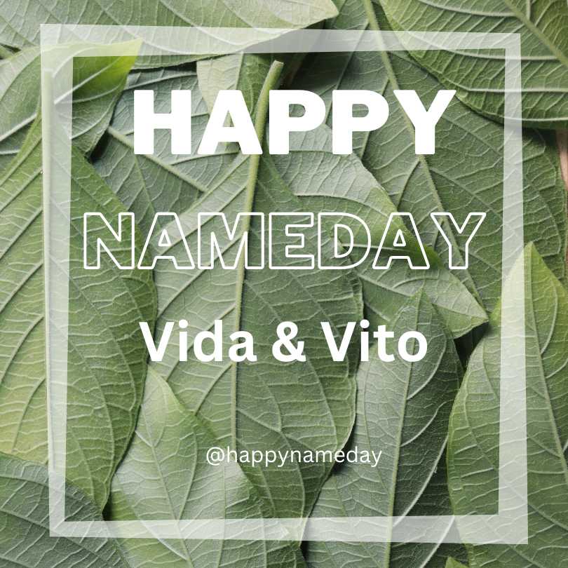 Vida